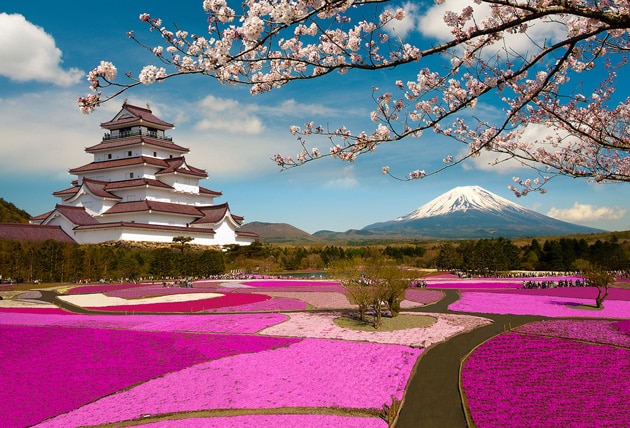 Giappone